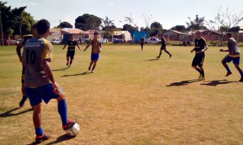 Jardim das Hortênsias