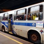 Sem fiscalização, ônibus com mais de dez anos de uso ainda circulam pelos bairros na Capital