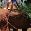 Ainda sem solução e com o período chuvoso, "Pinguela" no Jardim Manaíra é um risco aos pedestres