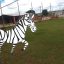 Fase do "mata-mata" teve 24 gols, passeios das zebras, time da tremedeira e os que justificaram que são bons mesmo!