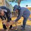 Localizados na região do Anhanduizinho, moradores dos bairros Centro Oeste, Jockey Club, Parati e Piratininga,  poderão vacinar os cães e gatos nesta terça-feira