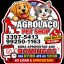 Na Agrolaço Pet Shop, no mês de aniversário de Campo Grande, quem ganha é o cliente, veja!